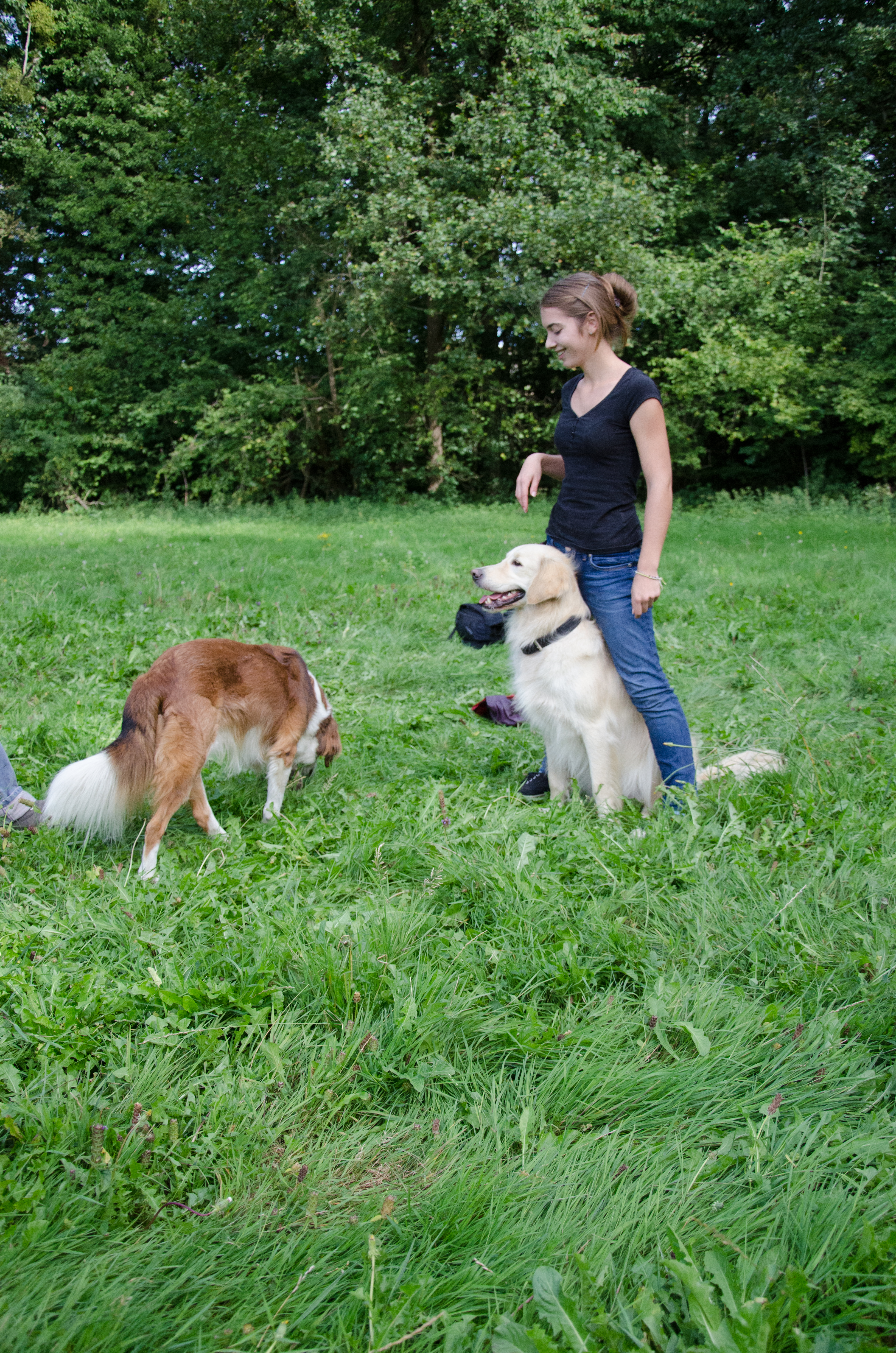 éducation et dressage de chiens Savoie